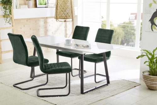 Buchholz étkezőszék - zöld