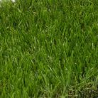 All-Star műfű 2 m Latex, 40 mm szálmagasság