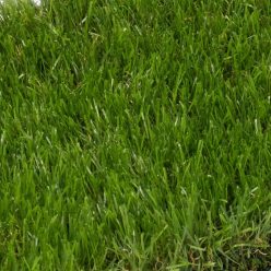 All-Star műfű 2 m Latex, 40 mm szálmagasság