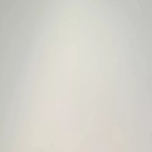 Falpanel, egyszínű, bambuszrost, 280x122 cm - Ivory Matte