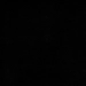 Falpanel, egyszínű, bambuszrost, 280x122 cm - Midnight Black