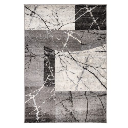 Phoenix szőnyeg 6082-0544 szürke - 120x170 cm