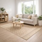 Plutus szőnyeg 1005-202 bézs 160*230 cm