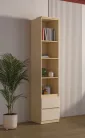 Terra két fiókos könyvespolc (24LBON83) - lindberg tölgy/sandy beige